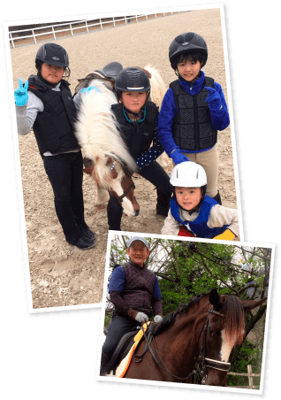 神戸っ子乗馬サークル トゥインクル Jr神戸駅から車で１５分 自然に囲まれた素敵な環境にある アットホームな乗馬クラブ トゥインクル